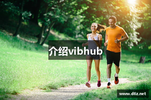 介绍vibhub