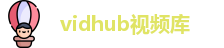 vibhub